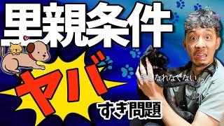 【保護犬猫】里親の条件が厳しすぎる!?獣医師が保護犬猫に隠された闇を大暴露します