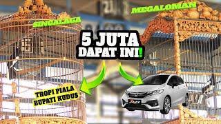 Kacer SINGALAGA Keok MEGALOMAN Bawa Pulang HONDA JAZZ || Piala Bupati Kudus 2022