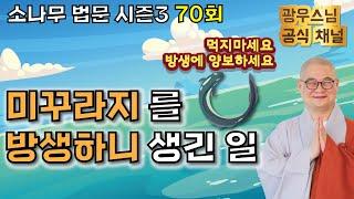 방생 가피 이야기 | 광우스님 소나무 법문시즌3 70회