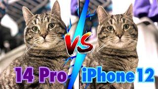 iPhone 14 Pro vs 12 / Camera Test - Is it Worth the Upgrade?