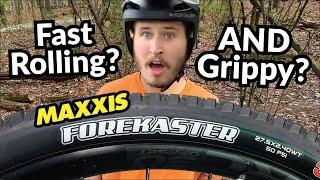 The "Goldilocks" Tire for Trail Bikes? - Maxxis Forekaster V2