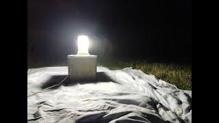 Moth trapping - Lound Wood May 2nd 2024