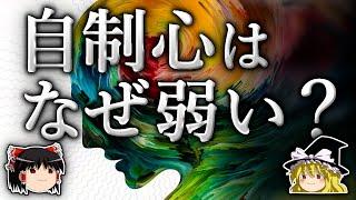 なぜ私達は目の前の欲求に負けてしまうのか？【ゆっくり解説】