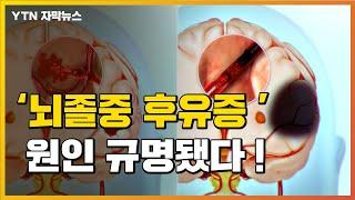 [자막뉴스] '뇌졸중 후유증' 원인 규명됐다...내년 임상 돌입 / YTN