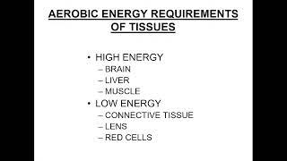 12:00 Biological oxidation