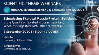 Stimulating Skeletal Muscle Protein Synthesis