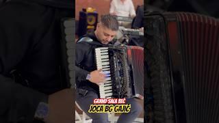 JOCA BG GAJIC / GRAND SALA BEC #uzivo #music #live #milanstrasni #muzika #funny #duet #show