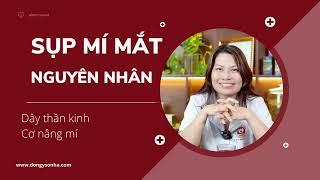 Nguyên nhân gây sụp mí mắt? Liệt dây thần kinh số 3 gây sụp mí? Cách chữa sụp mí do liệt dây 3