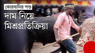 গাবতলীতে মাঝারি গরুর চাহিদা বেশি | Midsize cow more demanded in Gabtoli