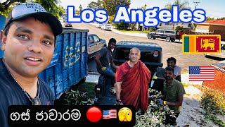 ඇමරිකාවෙ  පෝය දවසෙ |  ගස් ගැලවිම  |GTA | LosAngeles |USA |Tree moving 