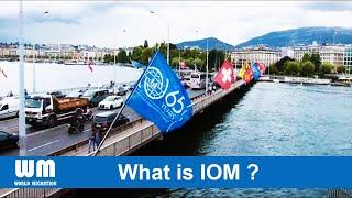 What is IOM | International Organization of Migration | English | Publicity by World Migration (WM)