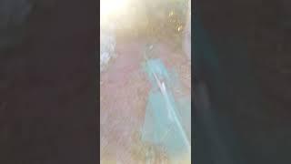Грядки из того что есть