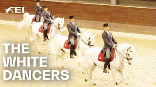 Lipica Stud: Home of the famous white Lipizzaner | RIDE presented by Longines