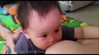 Cara Menyusui #1 - How to Breastfeed #1 | WILSON BABY20150302