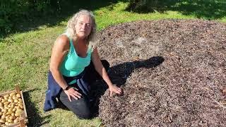 Making A Seaweed Bed For Potatoes! Fun To Experiment With Free Ressources :) Nordic Food Forest