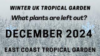 December 2024 Update | UK Tropical Garden | How are the PLANTS surviving? #tropicalgarden #garden