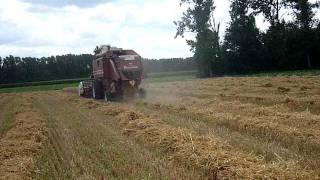 Laverda 3500 harvesting winterbarley 3