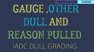 IADC DULL GRADING PART#3 GAUGEAND OTHER