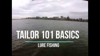 Tailor on Lures: 101 Beginners Guide Estuary and Beach Fishing