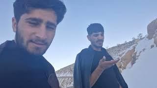 "A Choice at a Crossroads: Hamed and Saman's Invitation"