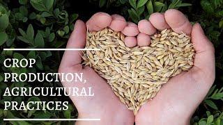 Crop production : agricultural practices