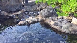 massive outdoor Saltwater pond