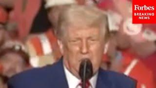 Trump Celebrates ‘Record-Breaking’ Nippon Steel Investment: ‘Single Largest Investment Of Any Kind’