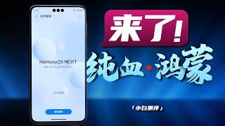 「小白」鸿蒙NEXT Beta体验：从0到1的开始！