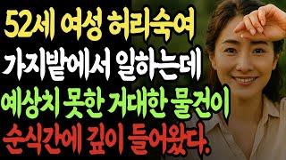 오늘밤 므흣황혼 아찔한  이야기! ㅣ실화사연ㅣ오디오북ㅣ인생사연 | 황혼 | 재혼 | 실버 | 노후사연 | 황혼연애 | 반전실화 | 오디오드라마