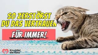 Wenn du das tust, ZERSTÖRST du das Vertrauen deiner Katze für IMMER 