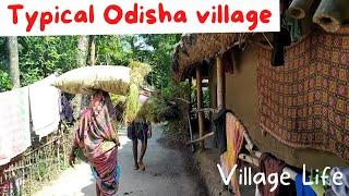 A Day in Village 1: Typical Odisha Village, Village Life