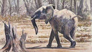 How to Paint an Elephant in Watercolour