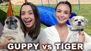 Who Has The BETTER Dog Challenge! - Merrell Twins