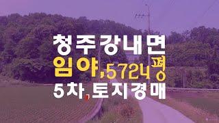 청주 토지 임야 매매보다 강내면 산단리 5724평 임야 5차 토지경매물건 - 무료상담 | 청주경매 하나로 강실장