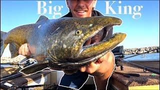 Casting for BIG King Salmon in Waukegan Harbor