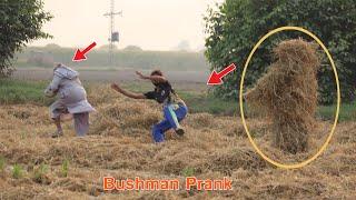 Bushman Prank | Funniest Prank in Village | Try Not To Laugh BUSHMAN Prank New Laughing Video