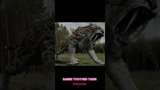 Royal Bengal Tiger vs Sabre toothed tiger(10000bce) #shorts #youtubeshorts #viral #ytshorts #animals