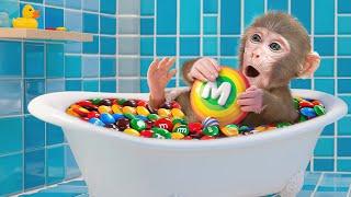 DoKi Monkey having fun when a Bathtub Full of Rainbow M&M Candy and Swim with Duckling - DoKi Monkey