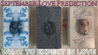 What you can expect in your love life on September️‍🩹Timeless pick a card love reading