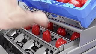 Bell pepper coring & dividing machine PDS4L: process up to 3,360 peppers/h cleanly & efficiently