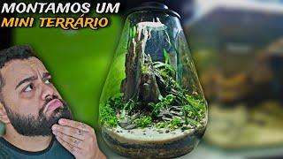 PASSO A PASSO MONTANDO UM MINI TERRÁRIO!