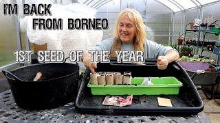 I'm Back from Borneo & Sowing the 1st Seed of the Year