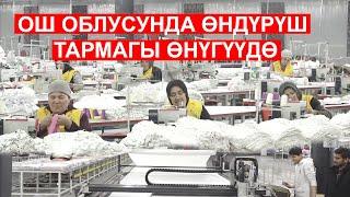 ОШ ОБЛУСУ БОЮНЧА КӨРСӨТКҮЧ