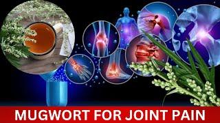 Mugwort: The Herb That Fights Joint Pain and More!