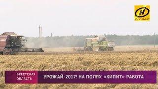 Урожай-2017! На полях «кипит» работа