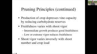 Principles of Pruning