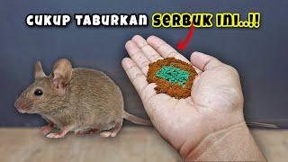 TERNYATA CUMA bubuk INI BIKIN RUMAH BEBAS DARI SEMUA TIKUS SELAMANYA !! BUKTIKAN SAJA !!