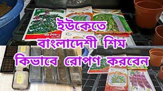 How to Plant Bangladeshi bean's in the UK | Seeds sowing tips | Shim - Uri | Shoukher Bagan UK 2022