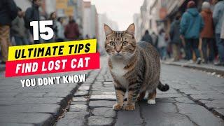 How to Find a Lost Cat