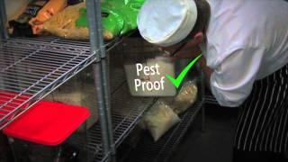 Food safety coaching (Part 3): Pest control